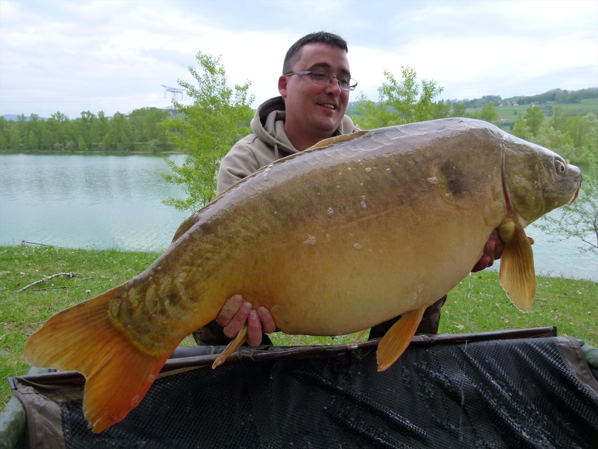 THE BIGS OF 2012 - p1000026.JPG